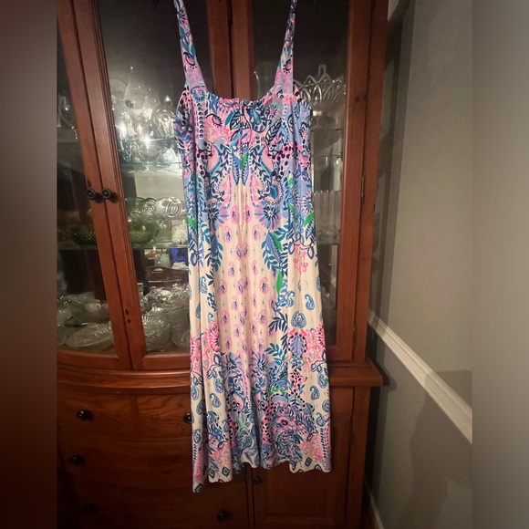 COPY - Lilly Pulitzer NWT Ambria Maxi Dress Size 16 - Picture 3 of 4